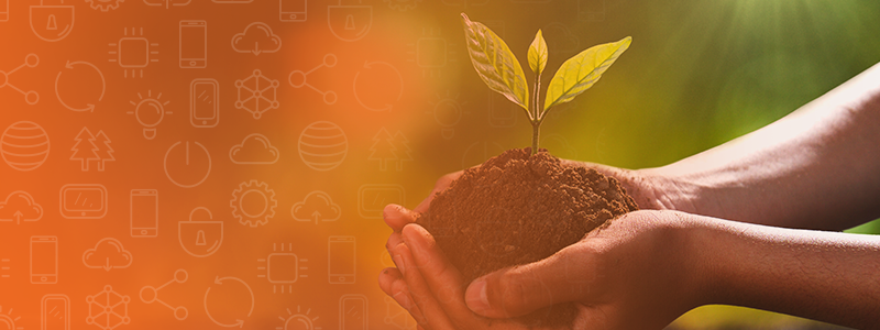 Soti Tree Saving Trees and Saving the Planet with SOTI Snap